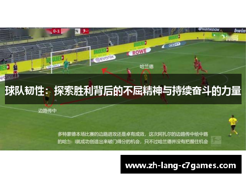 球队韧性：探索胜利背后的不屈精神与持续奋斗的力量