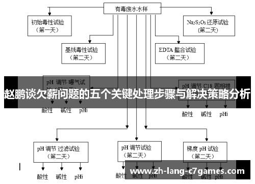 赵鹏谈欠薪问题的五个关键处理步骤与解决策略分析
