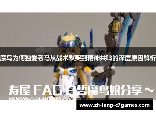 魔鸟为何独爱老马从战术默契到精神共鸣的深层原因解析